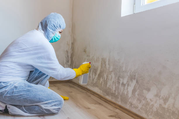 Bathroom Mold Removal assessment in Coal Township bathroom