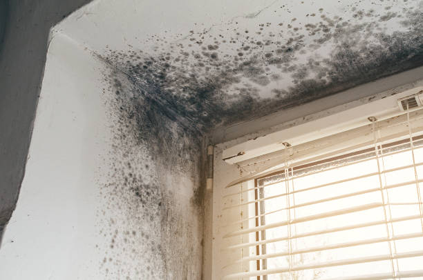 Clearance testing in Coal Township